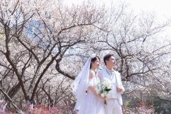 点击看大图 -茜茜公主婚纱摄影会馆