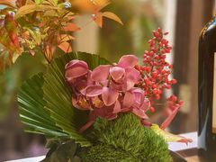 -叶叶菩提(太原别墅店)