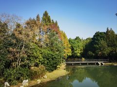 -长广溪湿地公园