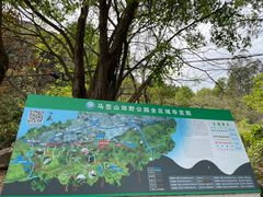 -马峦山郊野公园