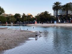 -布里斯班南岸公园