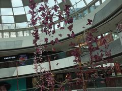 -万达广场(松江店)