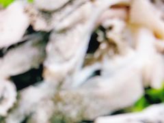 -壹条龙饭庄台基厂店