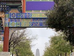 -法门文化景区