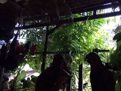 iphone_upload_pic-自然餐厅(Phuket)