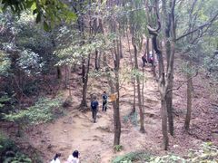 -火炉山森林公园