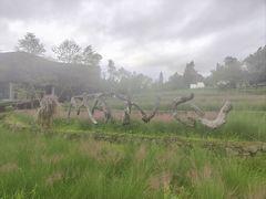 -腾冲洞山温泉村