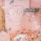 粉色新中式 | 灼灼桃花