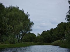 -贡湖湾湿地公园