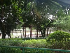 -光明港公园