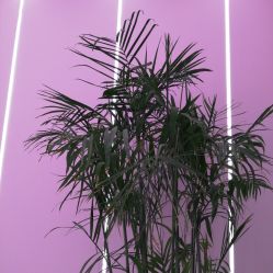 -沐泽SALON
