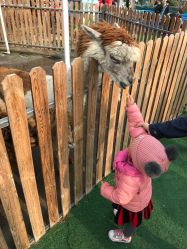 -萌宠亲子动物乐园(槐房万达店)