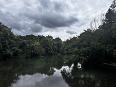 -花溪公园