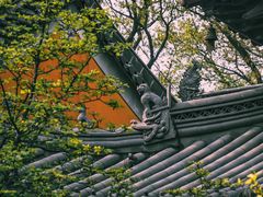 -灵谷景区