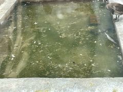 -青藏高原野生动物园