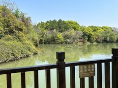 -八大山人梅湖景区