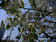 -白塘生态植物园