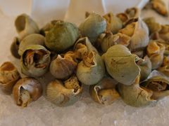 螺肉-北京王府井希尔顿酒店·万斯阁西餐厅