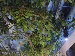 -食悦江南·淮扬菜·烤鸭(亚运村·惠新店)