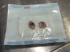 -伟伟宠物医院·CT影像中心·瑞派犬猫综合性门诊(汉口总院)