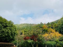 -九龙潭景区