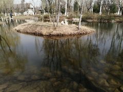 -桃花堤公园