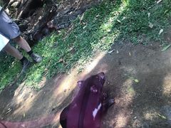 -可伦宾野生动物保护区