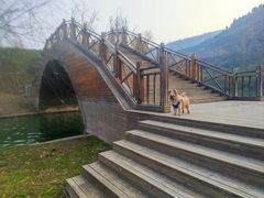 -黄河小浪底水利枢纽风景区
