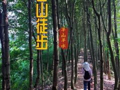 -东钱湖旅游度假区