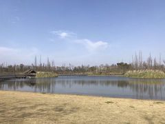 -白鹭湾湿地公园