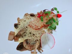 -蝶舍·MAISON PAPILLON