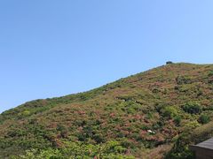 -大围山国家森林公园