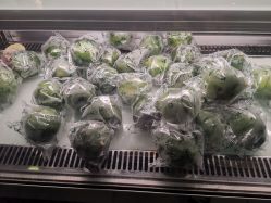 -非常六加一儿童摄影(同安店)