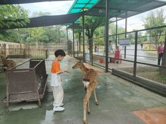 -南京汤山紫清湖生态旅游温泉度假区