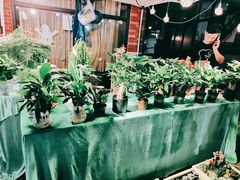 -海上海弘基休闲广场