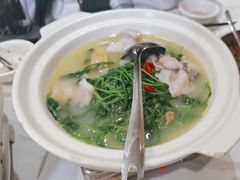 -刘胖子家常菜·蹄花焖藕(中南店)