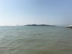 -演武大桥观景平台