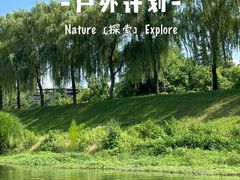 -洨河生态公园