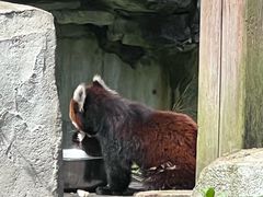 -黔灵山公园