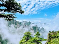 -黄山风景区