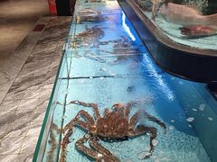-阿伟海鲜楼·福建菜(延寿店)