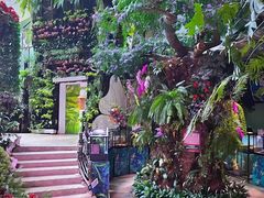 -正佳雨林生态植物园