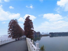 -东湖生态旅游风景区