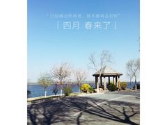 -丁香湖公园