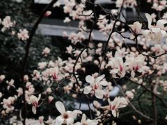-南京晨光1865创意产业园