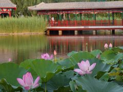 -西海子公园