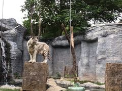 -清迈夜间动物园