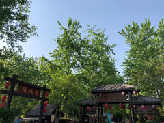 -合肥滨湖国家森林公园