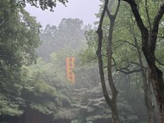 -杭州黄龙洞