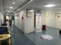 -温州伯思立医院